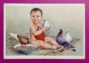China postcard, Whithout Cancel, Child Loves Pigeons - Picture 1 of 2