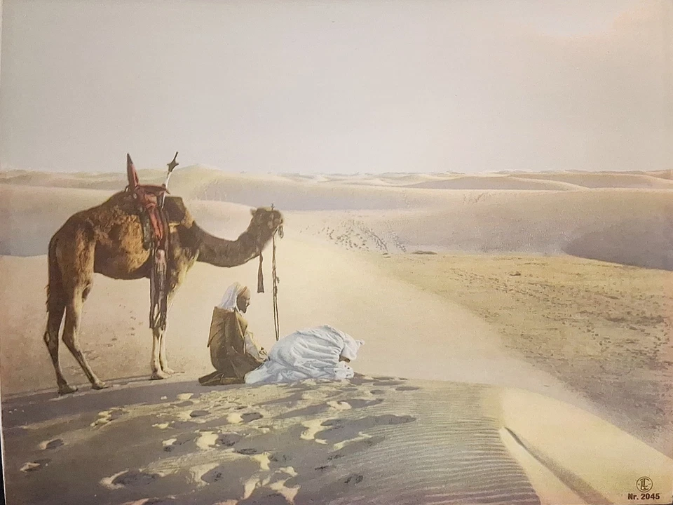 Lehnert & Landrock 原装 Heliogravure c. 1910 年代 #2045 沙漠骆驼游牧民族 — 第 1/1 张图片