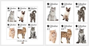 Gibraltar 2025 cats Ragdoll Siamese Persian Maine Coon bemgal 6v + ms6v mnh - Picture 1 of 1