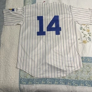 Throwback 1969 Cubs Ernie Banks Jersey - Mens Small - Picture 1 of 3
