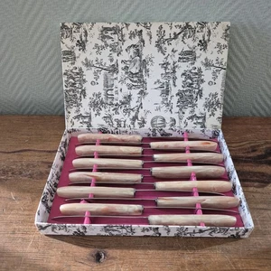 Vintage French Inoxydable Veritable Pradel Steak Knives Set of 12 in Box - Picture 1 of 5