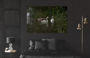 SWAN NATURE WALLART COLORFUL SCENERY picture Canvas home wall choose your size - Picture 1 of 1