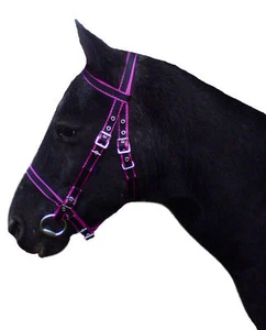 Official Libby's DARTMOOR Bridle in Miniature, Small Pony, Pony, Cob, Full  - Picture 1 of 2
