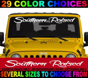 SOUTHERN RAISED WINDSHIELD BANNER DECAL LETTERING STICKER WE THE PEOPLE PRIDE - Picture 1 of 3
