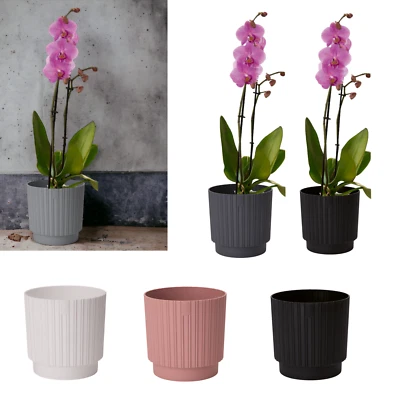 Blumentopf Rund Übertopf Pflanztopf Rund Rillen Orchidee (4 Größen; 5 Farben ) - Bild 1 von 2