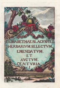 Centuria I Titelblatt Title Page Botany Blackwell Kräuterbuch Copperplate - Picture 1 of 1