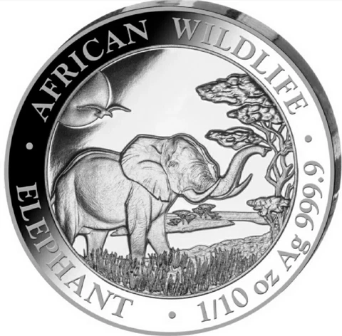 2019 10 Shillings Somalia AFRICAN ELEPHANT BABY BOY GIFT 1/10 Oz Silver Coin Cover