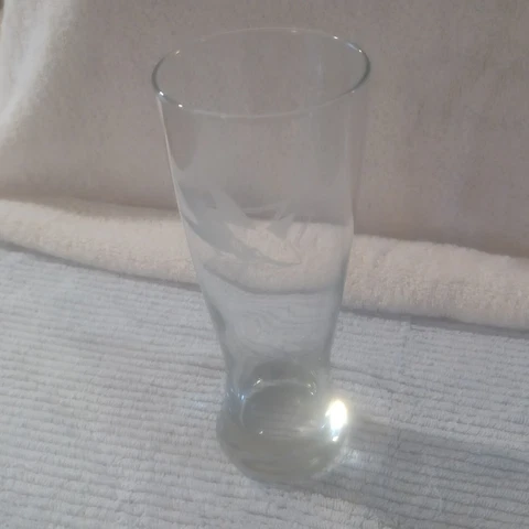 San Jose Sharks 16oz Game Day Pilsner Glass Collectible NHL Hockey Beer Mug Cover