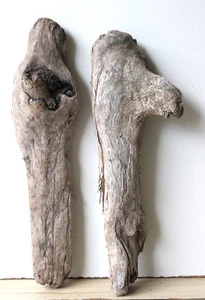 Madera flotante Driftwood 2 maderas nudosas decoración terrario 45-48 cm - Imagen 1 de 14