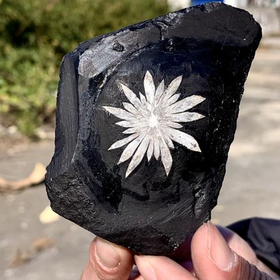 229G Natural chrysanthemum stone quartz carving aura healing gift - Image 1 of 4