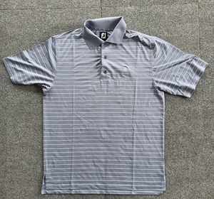 FootJoy FJ Aviara Golf Polo Men's Tagged M Fits Stripe Blue Gray - Afbeelding 1 van 12