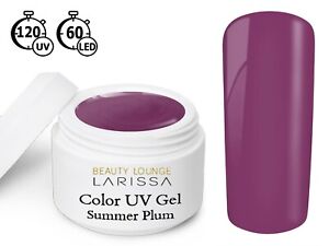 Color LED UV Gel 5 ml Farbgel French Modellage Nail Art Nagel Farbe Summer Plum