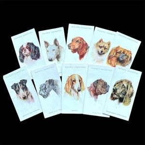 John Player Cigarette Cards 1929 Dogs Heads by Wardle A Series Pick your Card/s - Picture 1 of 27