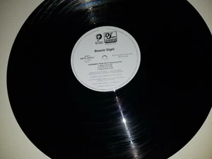 BEANIE SIGEL - REMEMBER THEM DAYS RAW & UNCUT - ROC A FELLA - PROMO - VINYL LP - Imagen 1 de 4