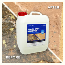 Spinaclean Black Spot Remover, removes black spots, lichen, moss, algae & stains