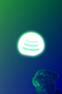 [Schlüssel] 12 Monate | INDIVIDUELL PREMIUM| DIGITAL ⏱️✅ - Bild 1 von 1