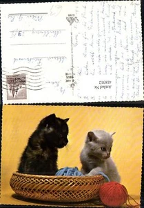 418312,Zwei Katzen Katzenkinder i. Korb Wollknäuel Wolle - Picture 1 of 1