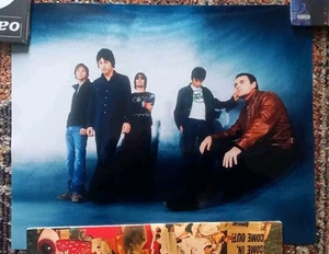 Oasis - Press Photograph - Large 15" x 12" Glossy Pic, ready to be framed - Picture 1 of 1