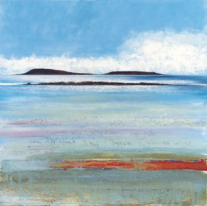 Sea Sounds and Birdsong from the Isles of Scilly - Picture 1 of 2