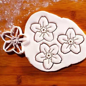 Forget-Me-Not Flower Cookie Cutter - spring alpine floral dementia alzheimer - Picture 1 of 4