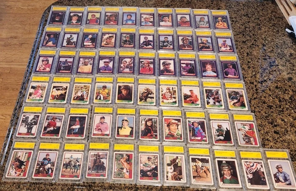 (61) 1992 - 1996 Horse Star Racing/Jockey Tarjeta Calificada Lote ASD Bonito Lote Foto 1 de 1