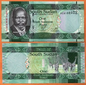 Billete de papel moneda de 1 libra de Sudán del Sur SUDANESA ND (2011) UNC P-5 - Imagen 1 de 2