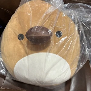 Squishmallows Collection Santino the Brown Platypus 12in Cuddly Plush NWT - Picture 1 of 2