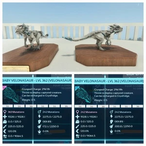 ARK ASA PVE OFFICIAL PAIR BABY VELONASAUR ALBINO 9k HP 1301.8% MELEE PC/XBOX/PS5 - Picture 1 of 4