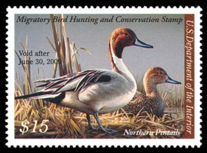 RW75 — 2008 Federal duck stamp - Picture 1 of 1