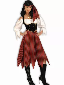 🏴☠️Women's Pirate Maiden Costume New In Package🏴☠️ - Picture 1 of 6