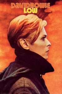 Low - David Bowie 1977 Album Cover Laminated Art Print Poster 24x36 Inches - Picture 1 of 2