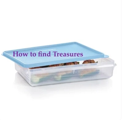 R5)BRAND NEW TUPPERWARE SLICE N STORE RECTANGLE SWEET SAVOURY KEEPER CHOOSE SIZE - Image 1 of 2