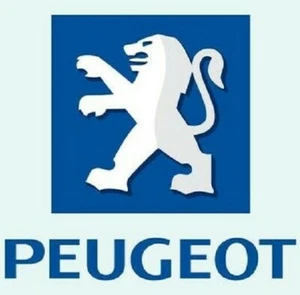 MANUALI PEUGEOT SU SD A SCELTA - Foto 1 di 9