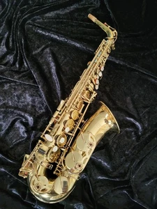 Alt Saxophon "DIXON" Gewa (neue Polster) - Bild 1 von 3
