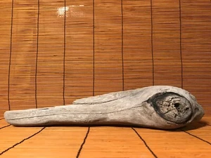 Beautiful 14" DRIFTWOOD Piece Terrarium Taxidermy Aquarium Art Reptile DECOR - Picture 1 of 12