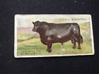 1915 Player & Sons British Live Stock Card # 1 Aberdeen-Angus (VG)