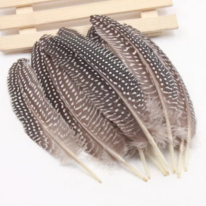 100 Pcs Natural Guinea Fowl Feather 16-19cm/ 6.3-7.5inch Decorative Diy Carnival - Picture 1 of 2