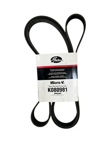 GATES K080981 NEW 8PK2491 MICRO-V AT BELT, 28mm x 2505mm - Picture 1 of 5