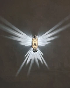 Incantevole luce arte da parete LED 3D aquila calva - arredamento casa unico - Foto 1 di 6