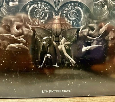 NIGHTWISH : Endless Forms Most Beautiful PICTURE DISC Color Vinyl 2 LP NEW 2015 Foto 1 de 3