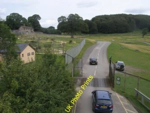 Photo 6x4 Longleat Safari park Longhedge On the circuit re-entering the L c2014 - Picture 1 of 1