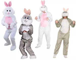 Easter Bunny Adults Childrens Fancy Dress Costume Rabbit Chick Chicken Kids - Picture 1 of 10