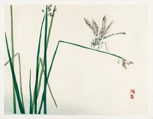 12986.Wall Decor Poster.Room design.Kono Bairei Japan woodblock art.Dragonfly - Picture 1 of 1