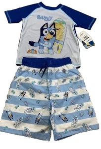 Bluey Rash Guard and Swim Trunks Set Toddler Child Size 2T NEW MSRP $48 With Tag - Picture 1 of 4