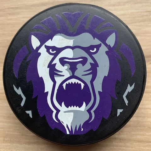 READING ROYALS ECHL HOCKEY PUCK HUGE LIONS HEAD LOGO WHITE ECHL LOGO REVERSE Cover