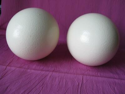 Ostrich Egg Shell For Crafts Or Decoration From Domestic Birds, Priced For Both • 30.36€