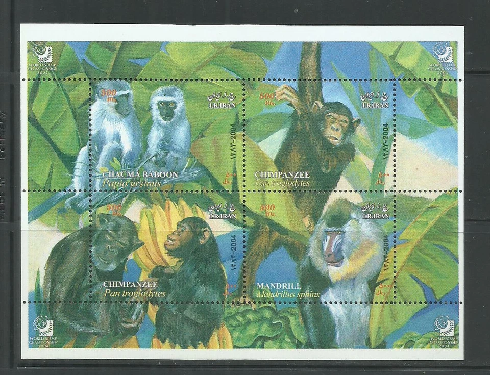 ORIENTE MEDIO. Año: 2004. Tema: FAUNA. MONOS. - Imagen 1 de 1