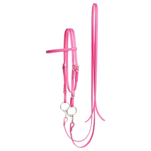 HORSE SIZE- READY MADE -Magenta WESTERN BRIDLE and REINS Made from BETA BIOTHANE - Picture 1 of 1