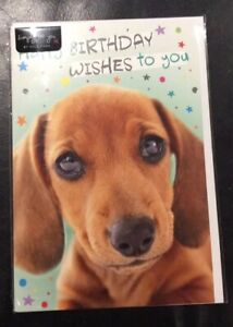 Female Birthday Card Cute Sausage Dog  By Hallmark Free P&P