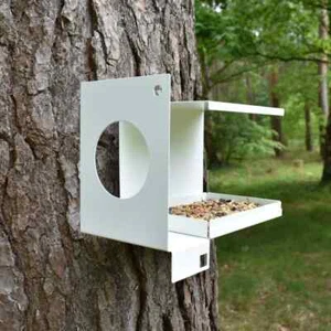 Wild Bird Garden Feeder Style bird Wildlife feeder Bird Squirrel Seed Nuts Fat - Picture 1 of 4